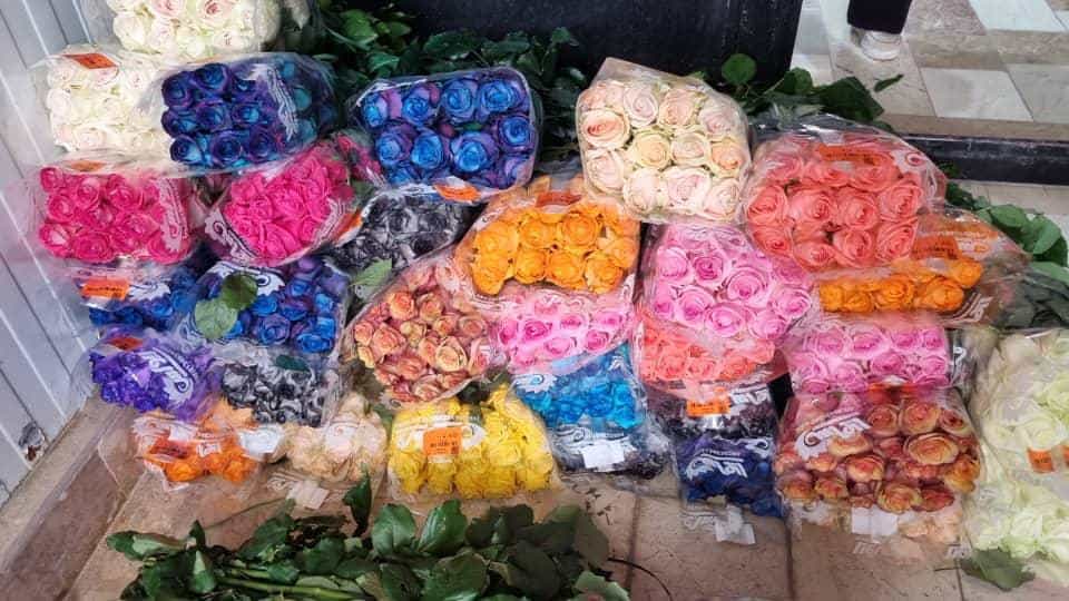 عکس گل سرای سوگل در شهر قم