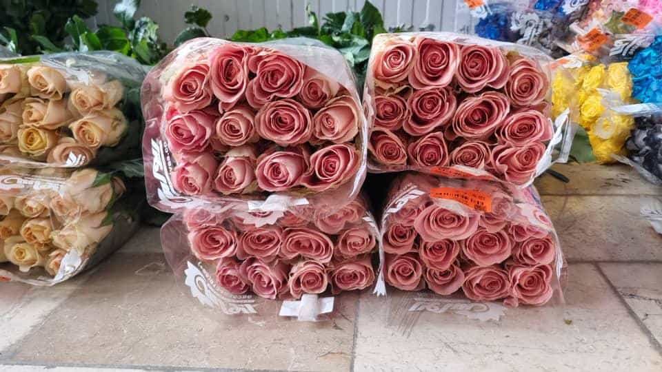 عکس گل سرای سوگل در شهر قم