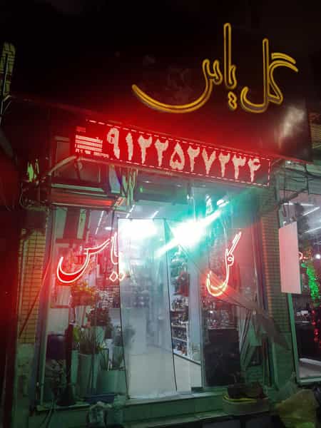 عکس گل یاس در شهر قم