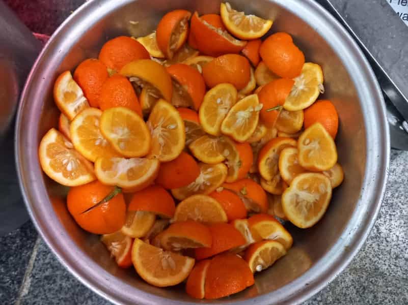 عکس جوجه سرای فدک در شهر قم