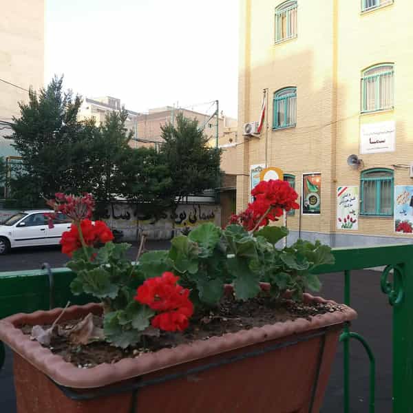 عکس دبیرستان غیر انتفاعی پسرانه دوره اول سما در مقصودیه تبریز