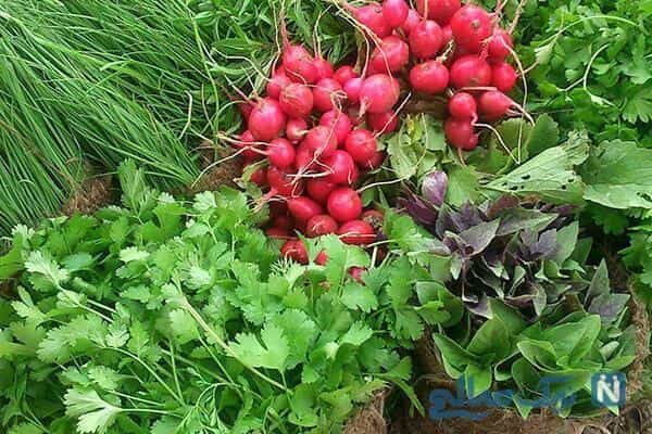 عکس سبزی فروشی محمدی در شهر قم