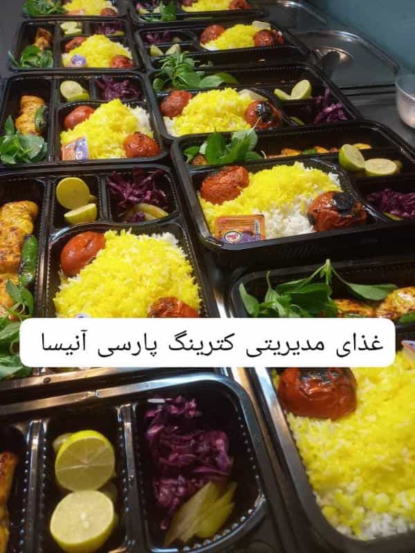 عکس تهیه غذا ی شرکتی پارسی آنیسا