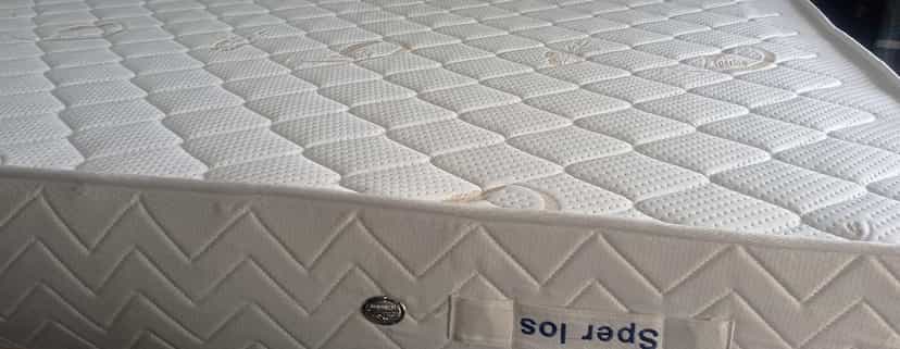 عکس تشک اسپرلوس در شهر چهاردانگه