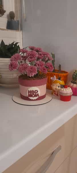 عکس کیک و شیرینی خانگی آلستر در مرزداران تبریز