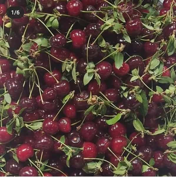 عکس میدان تره بار در رواسان تبریز