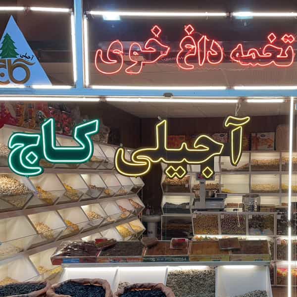 عکس اجیلی کاج در مارالان تبریز