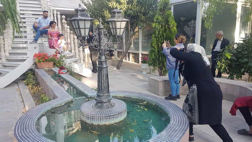 عکس عکاسی برگ سبز در ولیعصر جنوبی تبریز