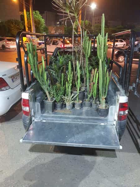 عکس حمل و نقل رضا (خدمات جابجایی بار) در گلستان اهواز