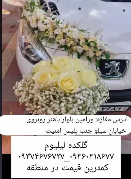 عکس گلکده‌ لیلیوم در مرزدارانی ورامین