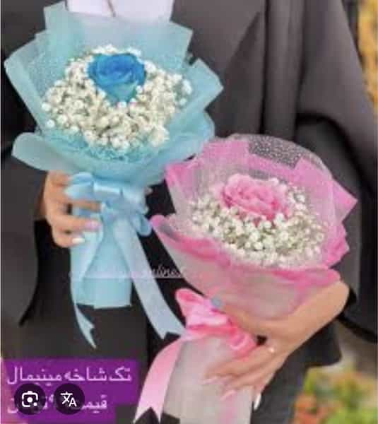 عکس گلسرای شیرالی در کیانپارس اهواز