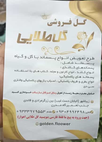 عکس گل طلایی در زیباشهر اهواز