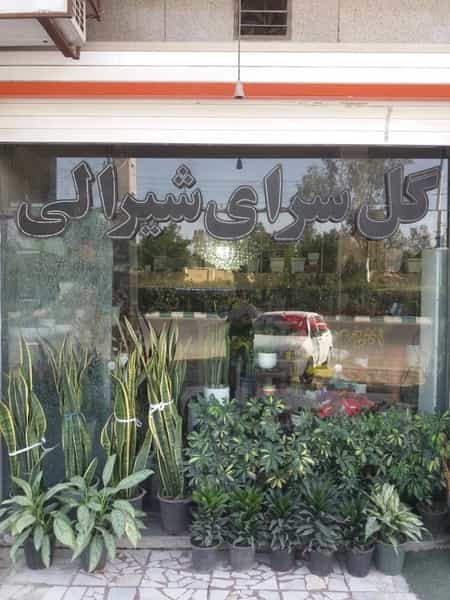 عکس گلسرای شیرالی شهرک توسعه نیشکر اهواز