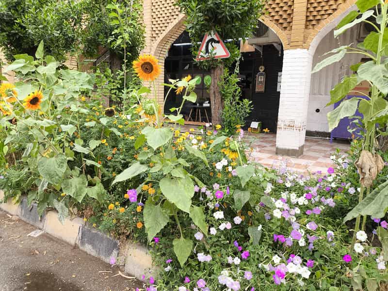 عکس کافه بید شهرک نفت اهواز