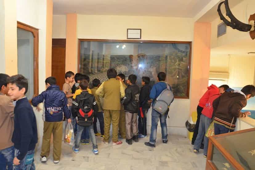 عکس موزه تاریخ طبیعی اهواز شهرک توسعه نیشکر اهواز