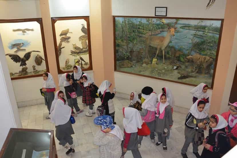 عکس موزه تاریخ طبیعی اهواز شهرک توسعه نیشکر اهواز