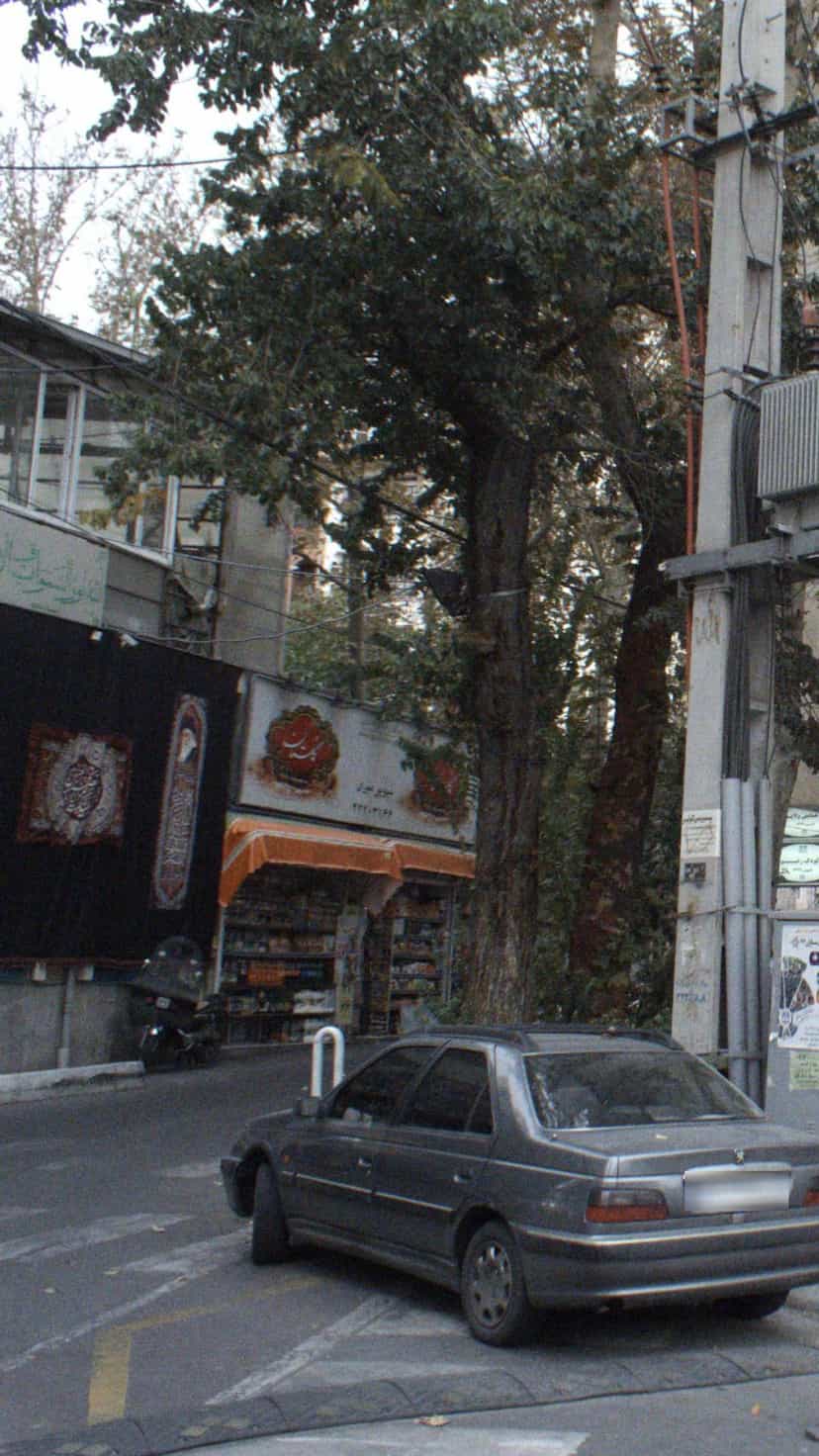 عکس سوپرمارکت گل منش در حکمت 