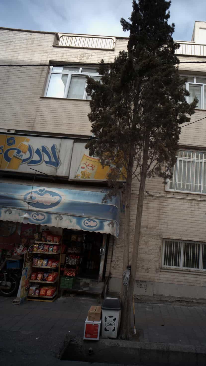 عکس فروشگاه گل گندم در مجید آباد تهران