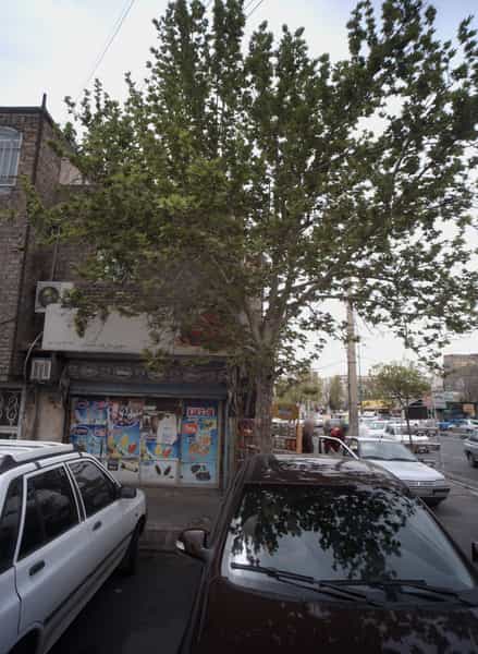 عکس سوپر مارکت احسان در اتحاد 