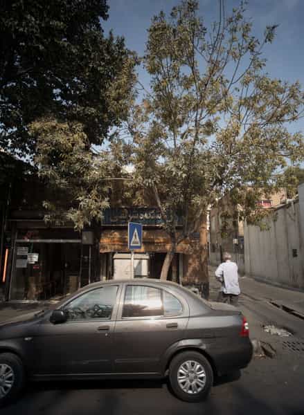 عکس فروشگاه شریفی در قیام 