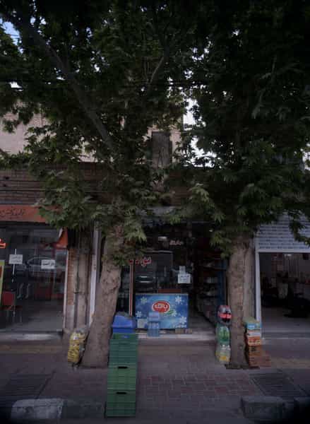 عکس فروشگاه مواد غذایی در دولتخواه شمالی 