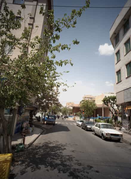 عکس مواد غذایی صدف در مسعودیه 