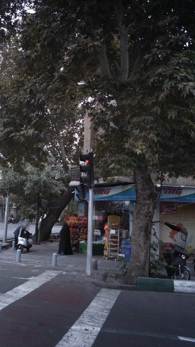 عکس عرضه مستقیم محصولات پگاه (شعبه پل ایمر بهادر) در قلمستان تهران