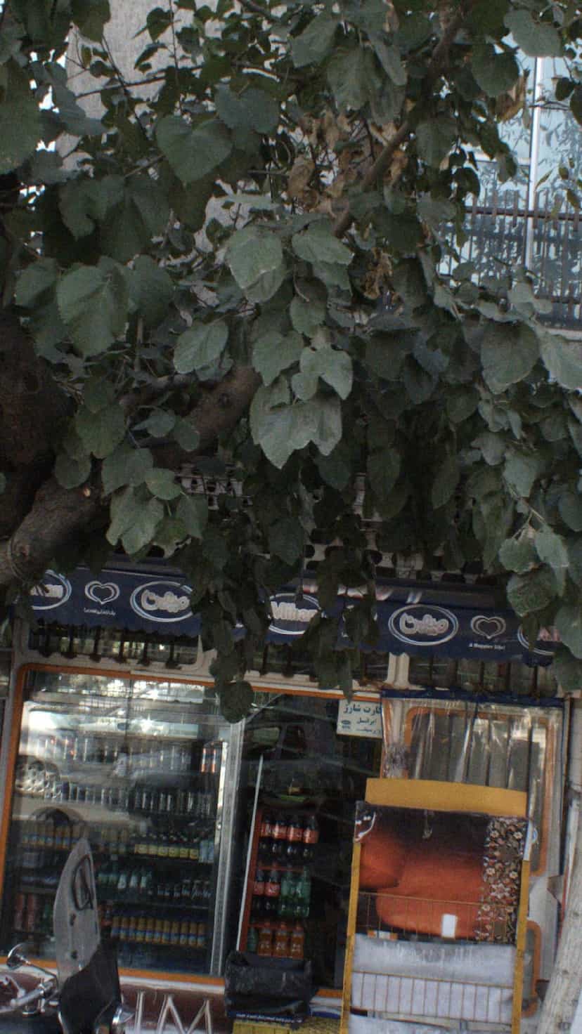 عکس سوپر آذربایجان در تهرانپارس غربی 