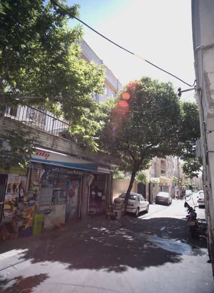عکس فروشگاه گلچین در ارامنه 