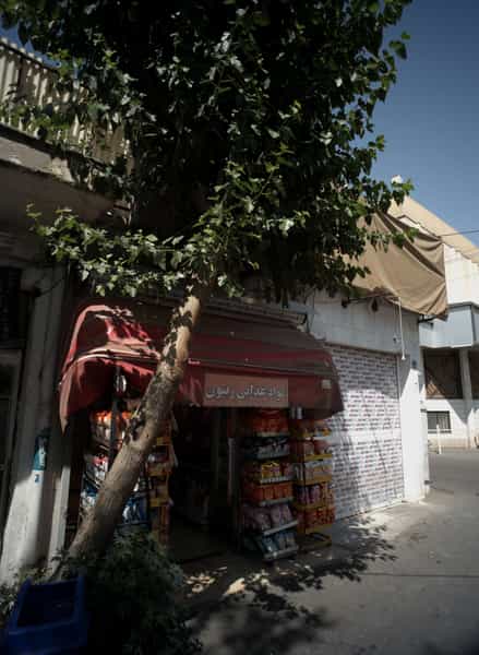 عکس مواد غذایی زیتون در قیام 