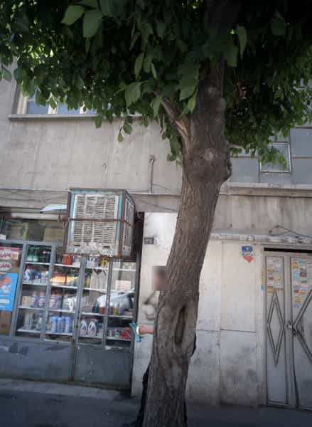 عکس سوپر مارکت گل نرگس در سلیمانی