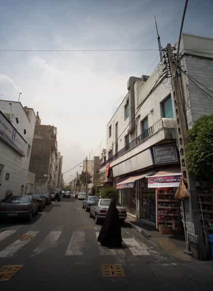 عکس گل آذربایجان در مجیدیه 