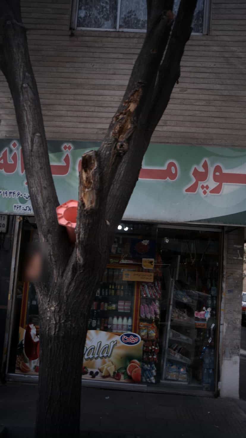 عکس سوپرمارکت ترانه در شیوا