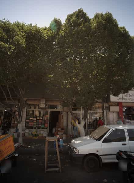 عکس فروشگاه مواد غذایی پازوکی در مولوی 