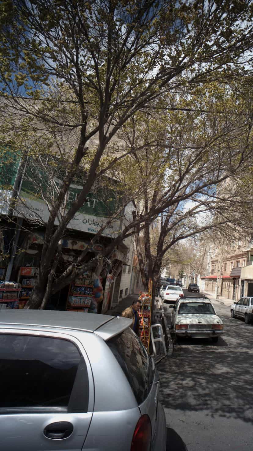 عکس سوپر بهاران در قاسم آباد تهران