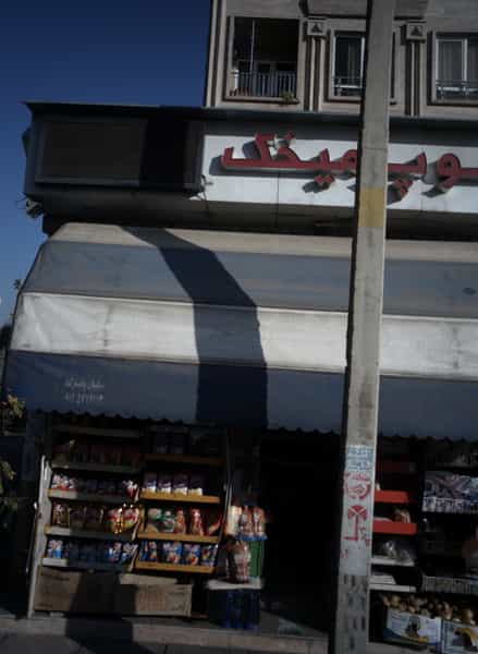 عکس سوپر میخک در باغ فیض تهران