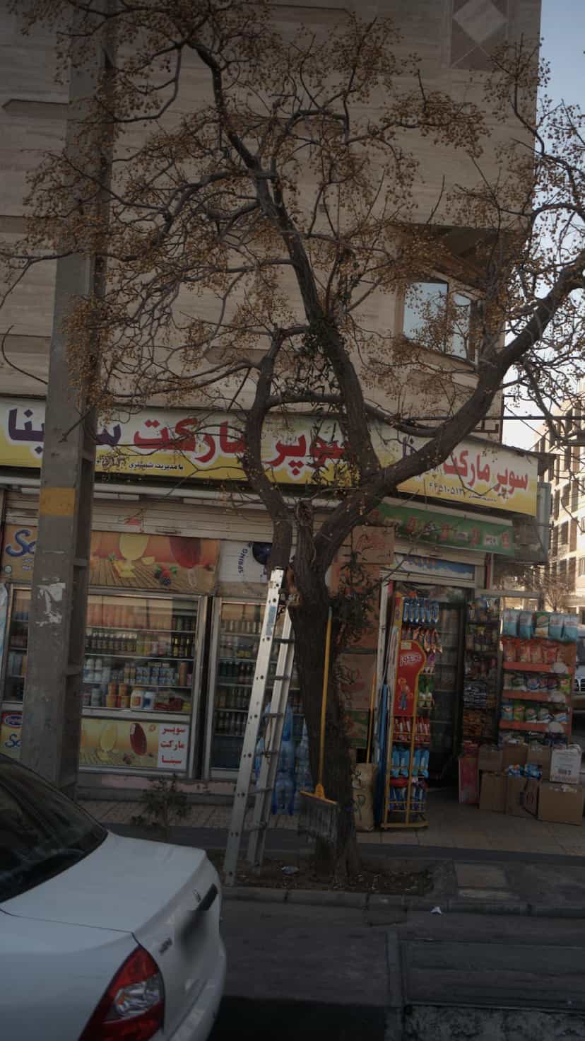 عکس سوپرمارکت سینا(شبستری) در تهرانسر شرقی تهران