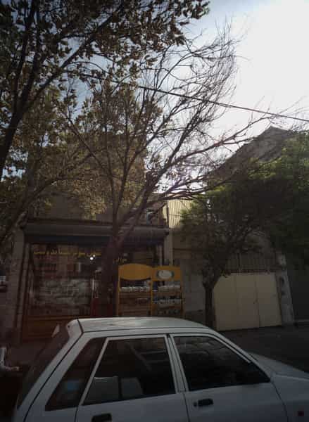 عکس مینی سوپر مهماندوست در جوادیه تهرانپارس