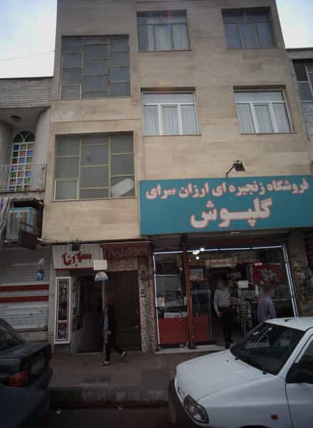 عکس سورنا دوقلوها قادر صابر در شمیران نو 