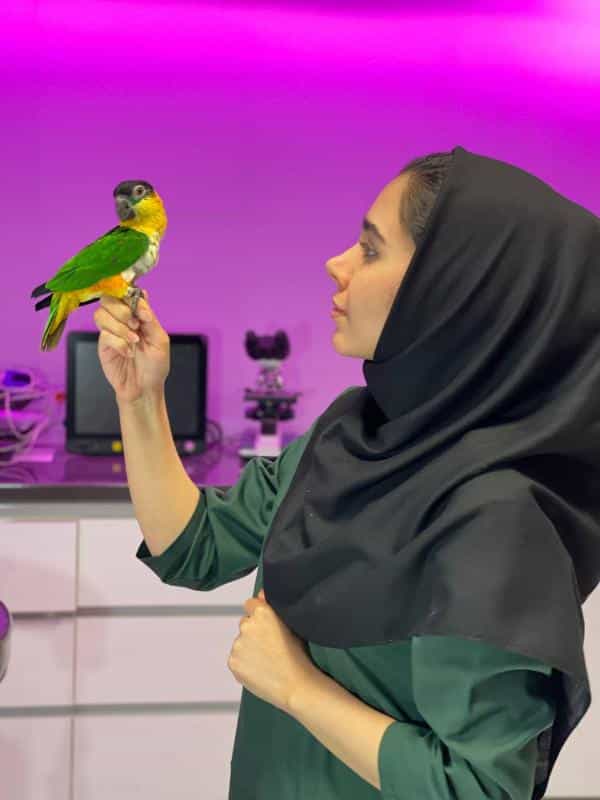عکس دامپزشکی مرکزی قم