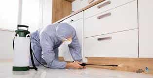 عکس  سم پاشان پاک سازان توسعه سمپاشی  اماکن عمومی خانگی و صنعتی 