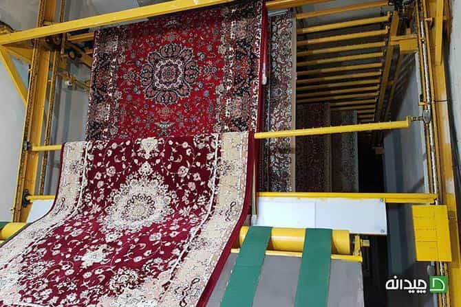 عکس قالیشویی گل رز در شیوا