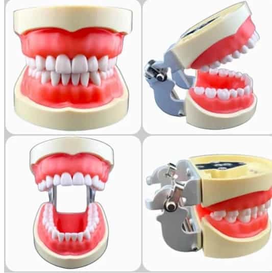 عکس لابراتوار دندانسازی دریا در سعادت آباد