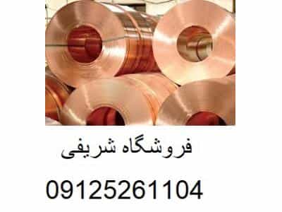 عکس فروش رول برنجی در تهران