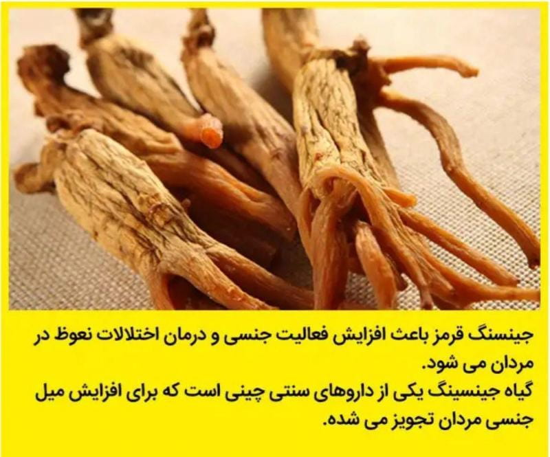 عکس داروگیاهی میخک رضایی در انقلاب