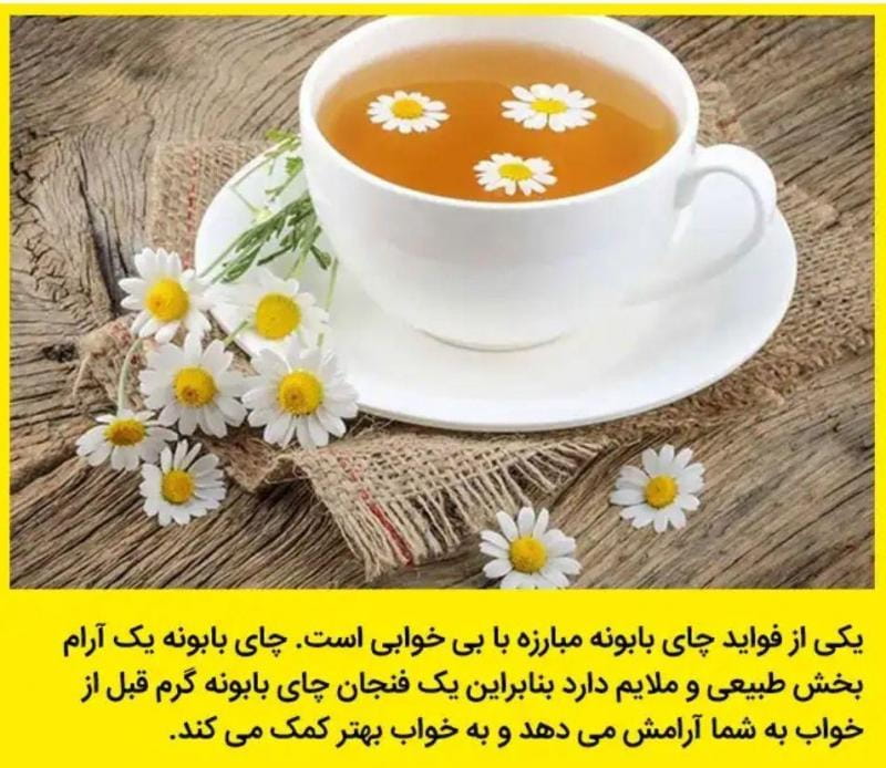 عکس داروگیاهی میخک رضایی در انقلاب