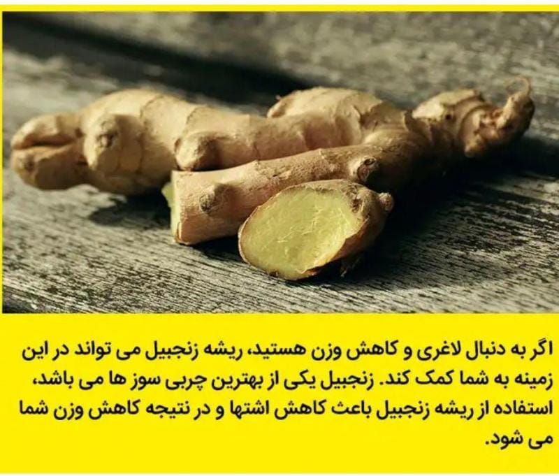 عکس داروگیاهی میخک رضایی در انقلاب