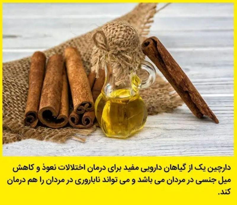 عکس داروگیاهی میخک رضایی در انقلاب