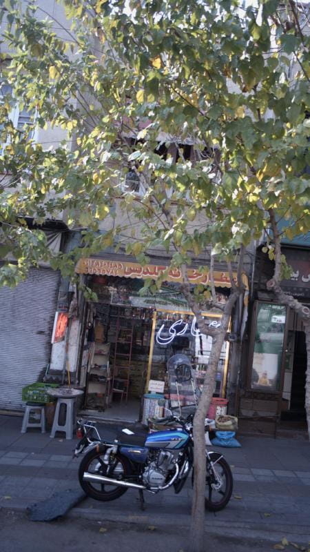 عکس عطارخانه گلدیس در جمالزاده