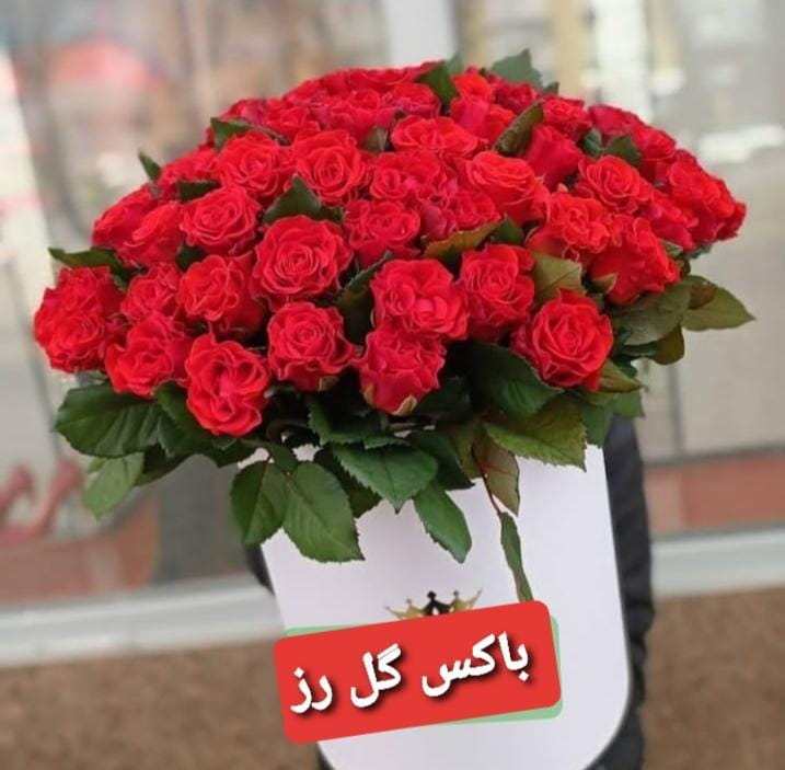 عکس گلفروشی قیطریه